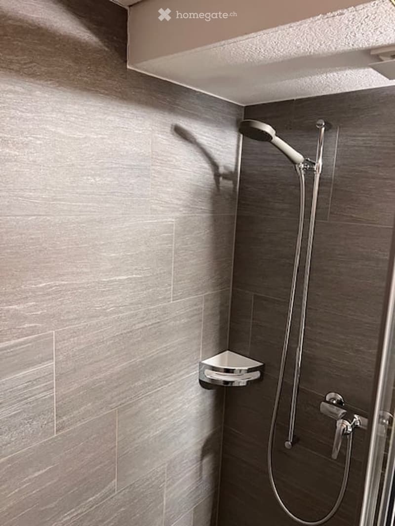 shower area, shower head, shower rod, tile wall, glass shower enclosure