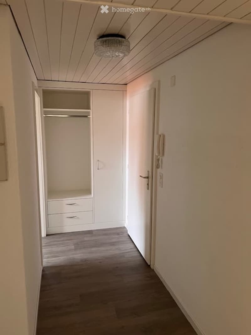 A hallway with wooden floor, white walls, wardrobe, drawers, ceiling light, and door.