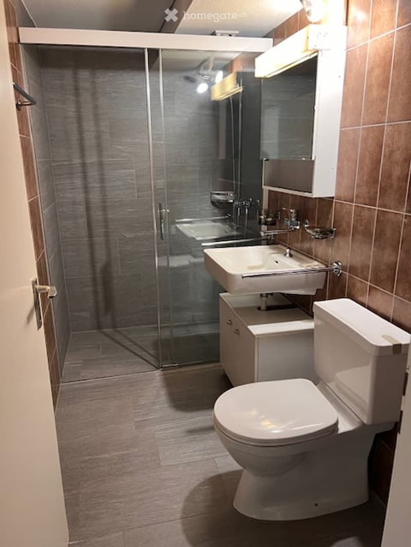 Shower enclosure, toilet, washbasin, mirror, tiled walls, lighting