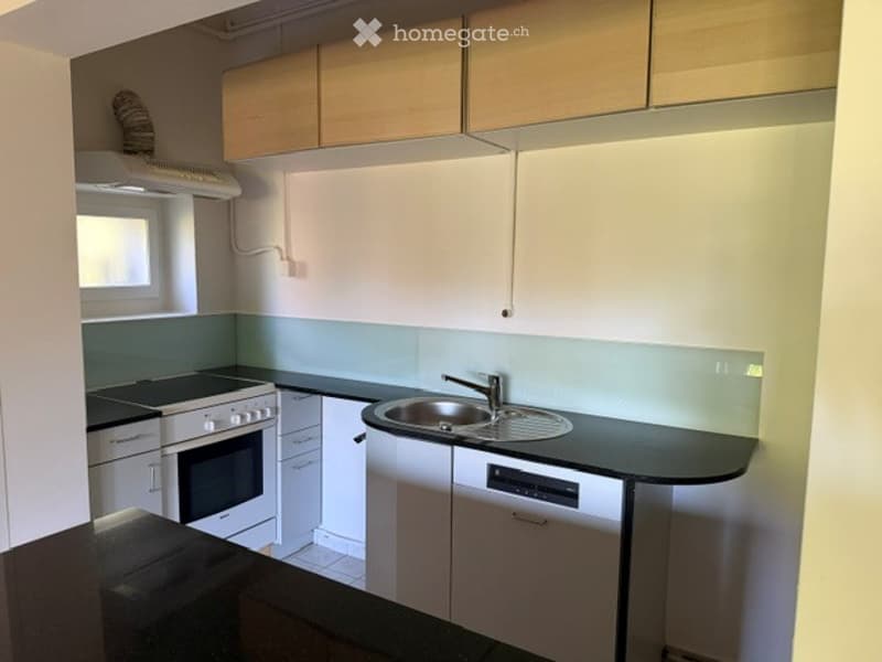 Modern kitchen with white cabinets, black countertops, and stainless steel appliances including an oven, sink, and dishwasher.
