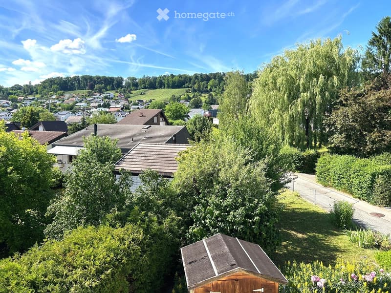 A peaceful residential area with houses, lush greenery, and a clear blue sky. The scene includes a mix of trees, shrubs, and a small wooden shed in the foreground.