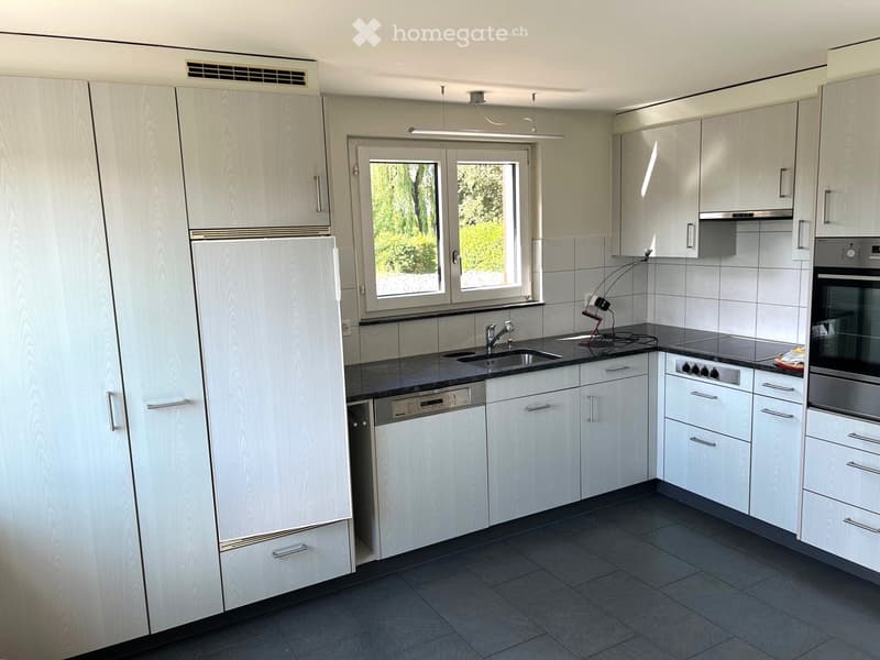 Modern kitchen with white cabinets, stainless steel appliances, and a large window overlooking greenery.