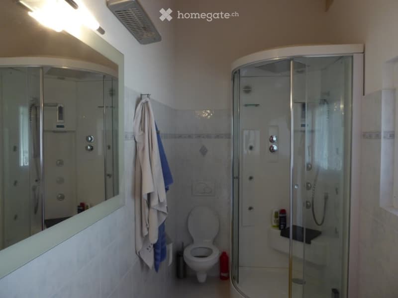 Bathroom with tiled walls, shower stall, toilet, and vanity with mirror