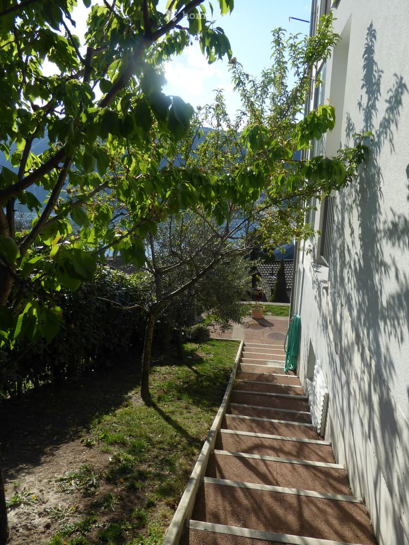 Lush green trees and foliage, stone steps leading up to a building, a grassy area with a path, and a balcony or terrace visible on the building.