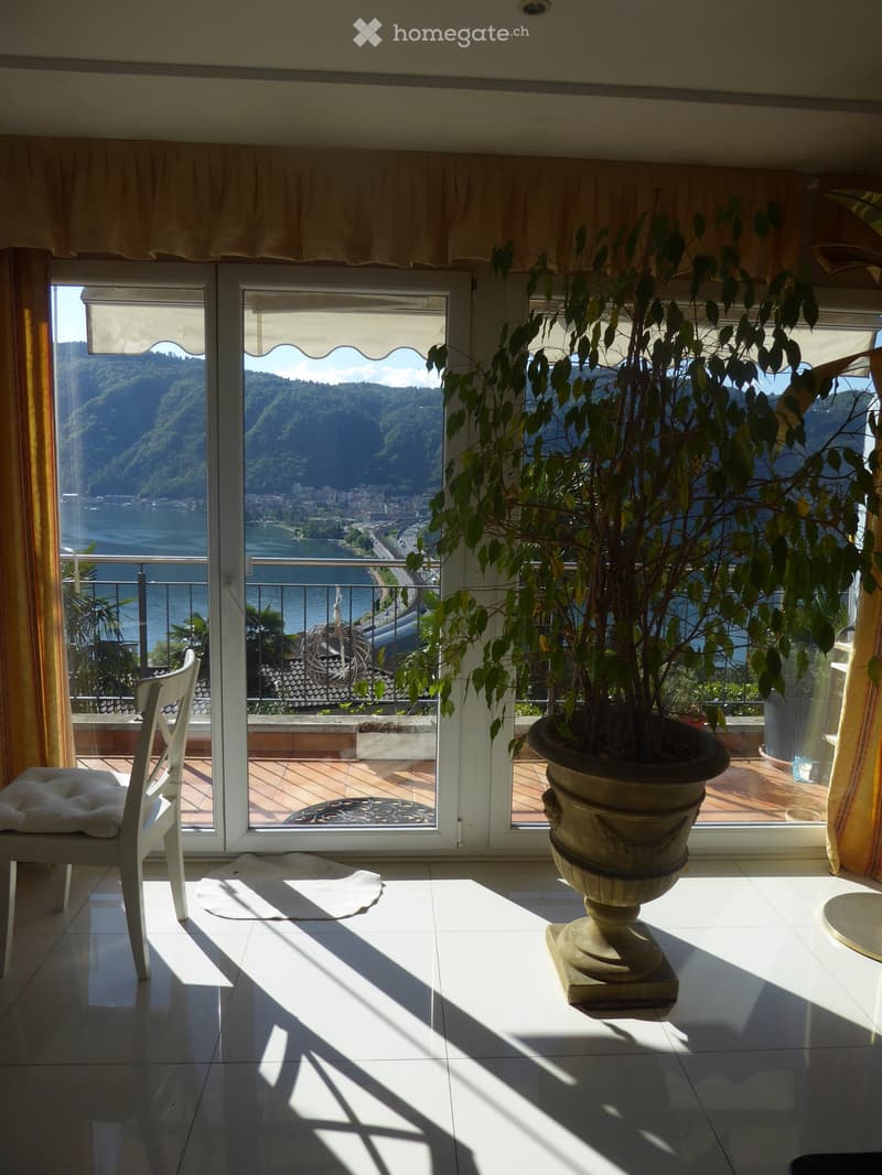 Large windows with a scenic view of a mountainous landscape, potted plants, and a decorative vase on a table in the foreground.