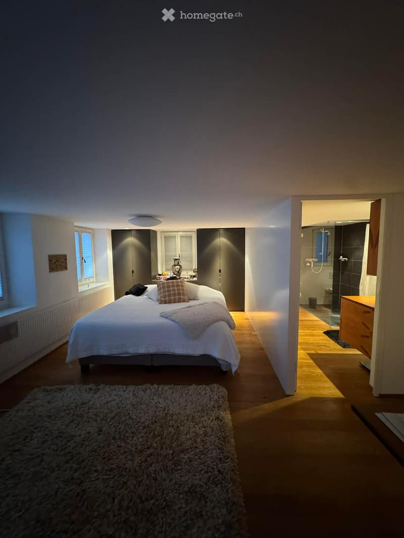 Modern bedroom with a large bed, pillows, blanket, and a fluffy rug on the floor. A wardrobe and a small table with a vase are visible, and an adjacent bathroom is partially visible.