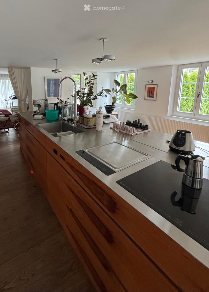 Modern kitchen with wooden cabinets, stainless steel sink, induction cooktop, coffee maker, blender, and potted plants on the counter.