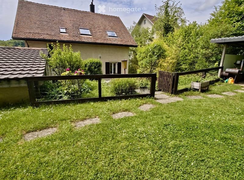 Lush green garden with a wooden fence, a small shed, and a house with a tiled roof and multiple windows in the background.