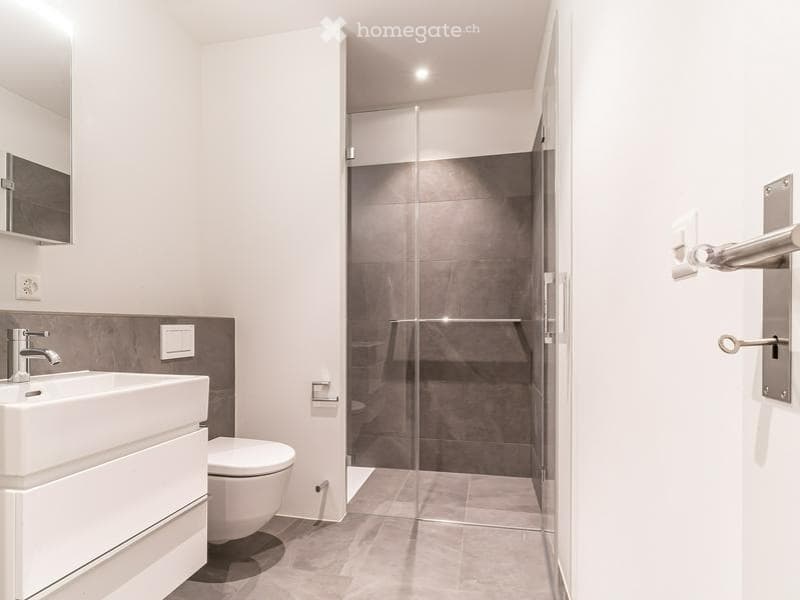 Modern bathroom with white walls, grey tiles, a white sink, toilet, and a glass-enclosed shower. Features a sleek design with a modern faucet and a built-in mirror.