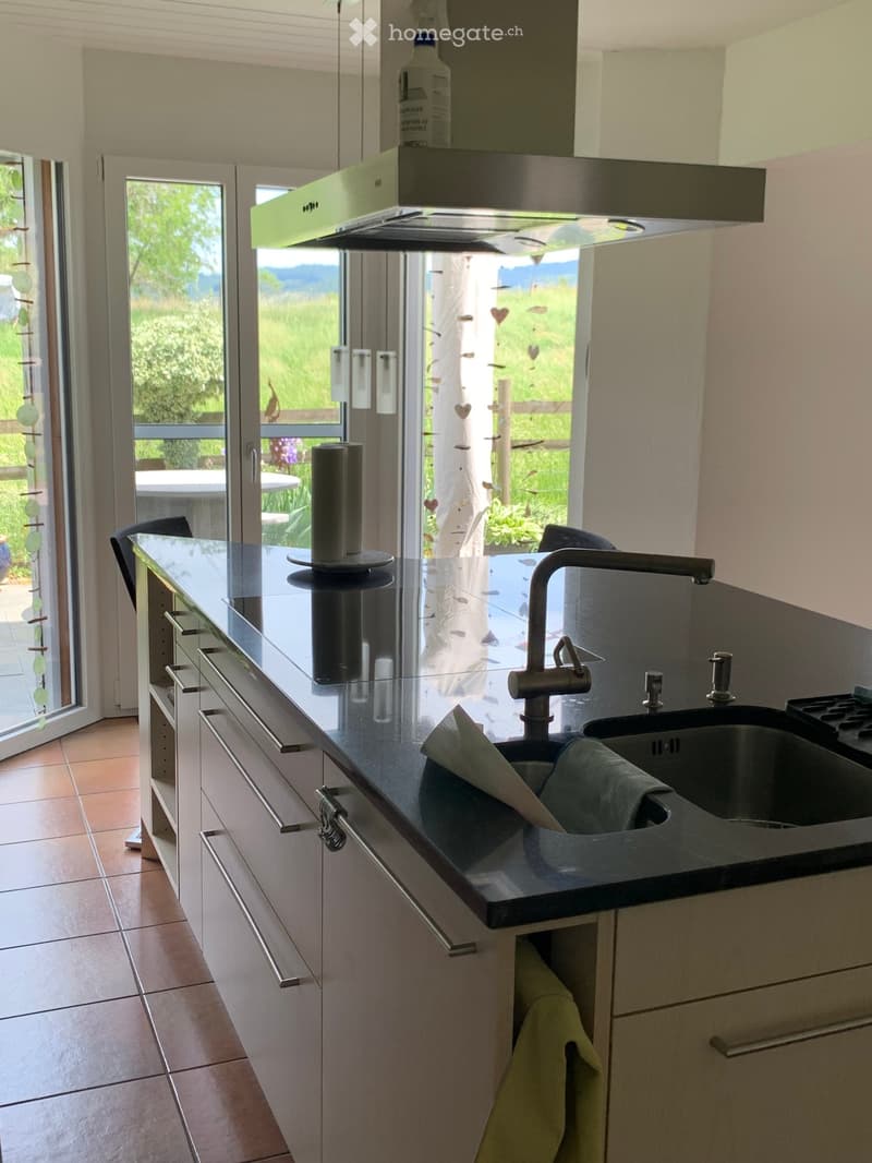 Modern kitchen with white cabinets, black countertop, stainless steel sink, and a large window overlooking a green landscape.