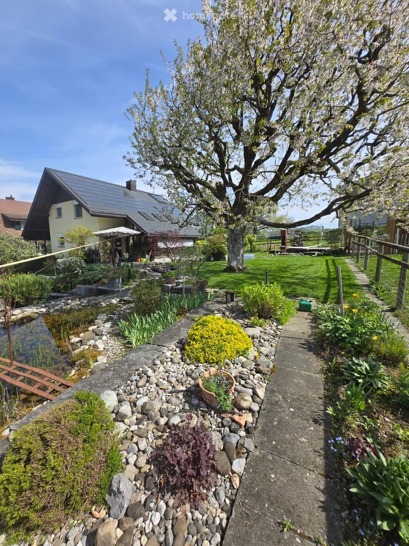 Garden with a pond, stone pathway, and a large tree, surrounded by a house and various plants.