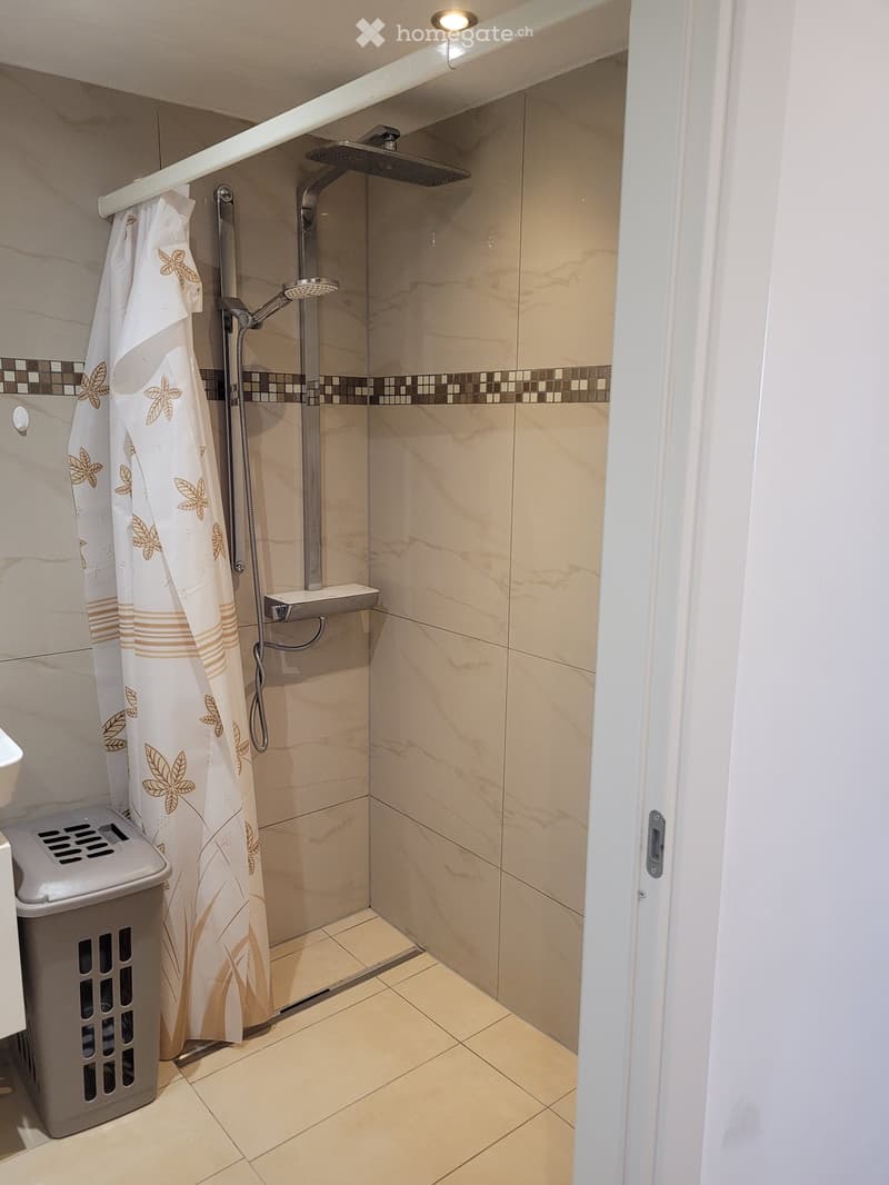 Modern bathroom with a walk-in shower, marble tiles, a glass shower enclosure, and a decorative shower curtain.