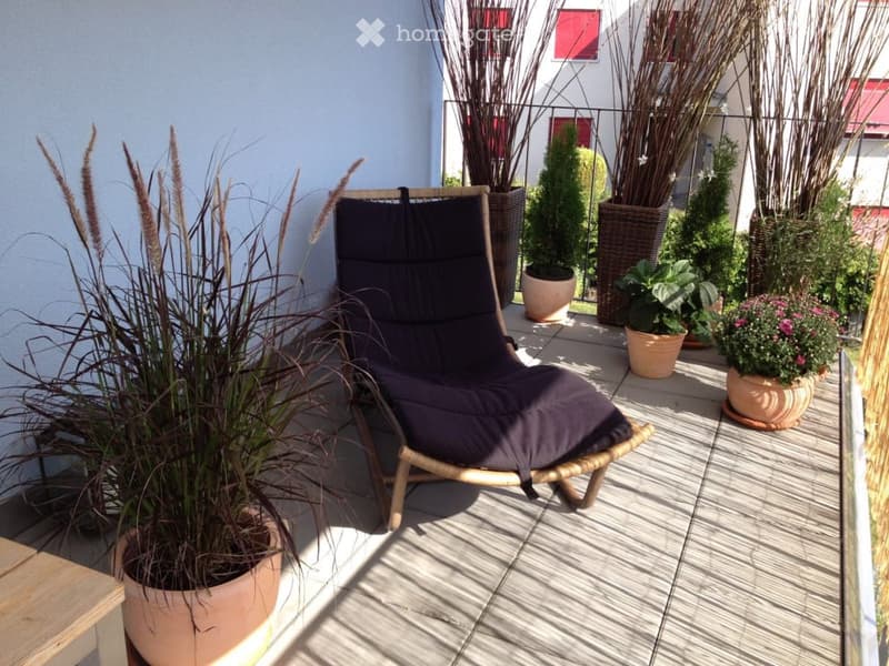 Balcony with wooden decking, lounge chair, and several potted plants including grasses and flowering shrubs.