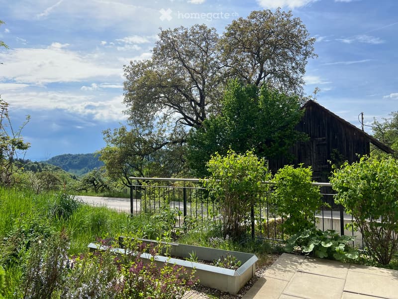 Well-maintained garden with raised planters, lush greenery, and a wooden shed in the background.