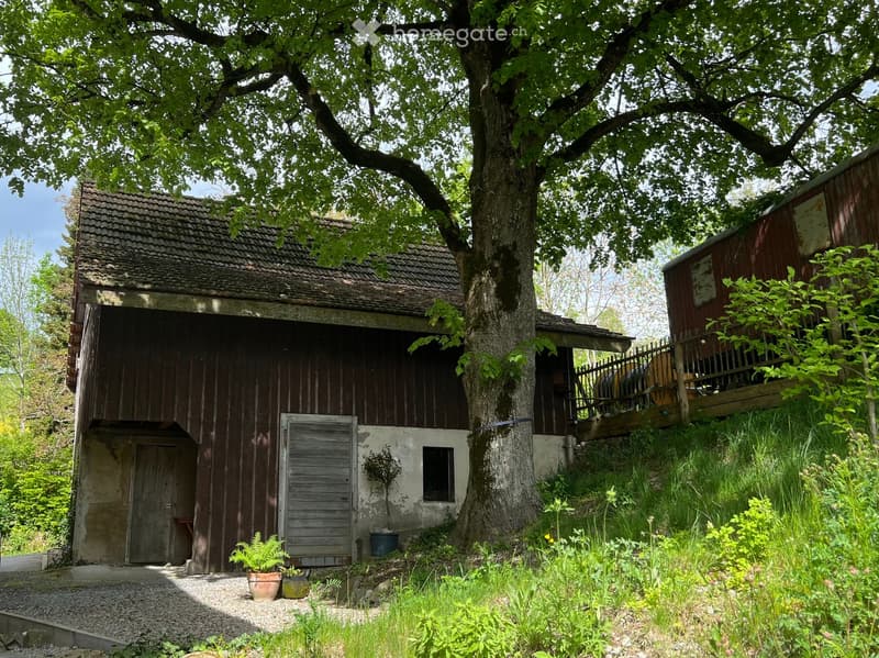 A rustic wooden building with a tiled roof, surrounded by greenery and a large tree. The building has a wooden door, a shuttered window, and a small porch area.