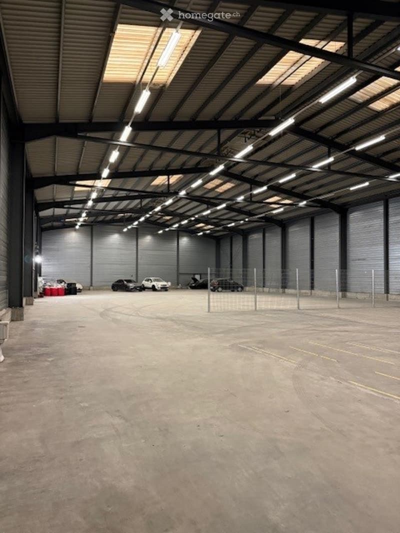 Empty warehouse with several parked cars, fluorescent lighting on ceiling