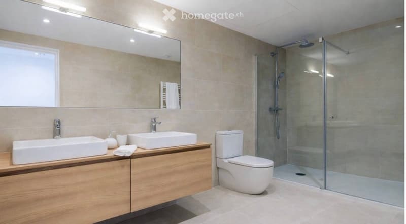 Modern bathroom with two sinks, a toilet, a glass-enclosed shower, and a large mirror above the sinks.