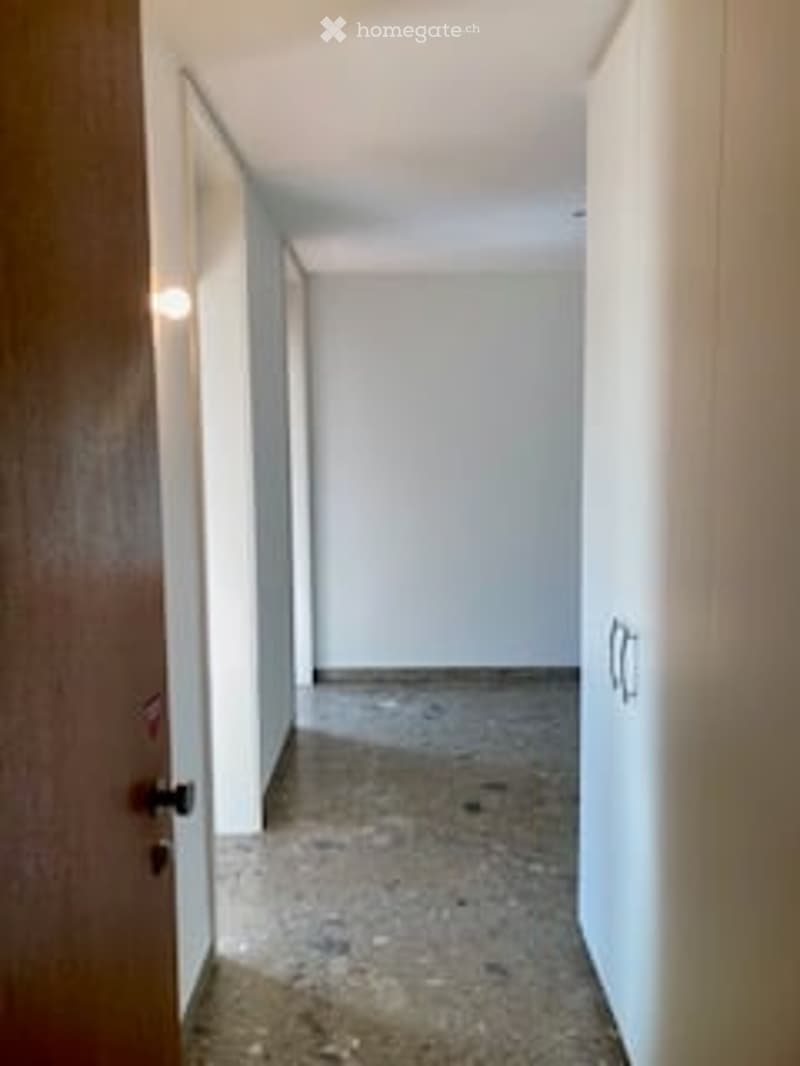 Empty hallway with white walls, concrete floor, and a closed wooden door on the left side.