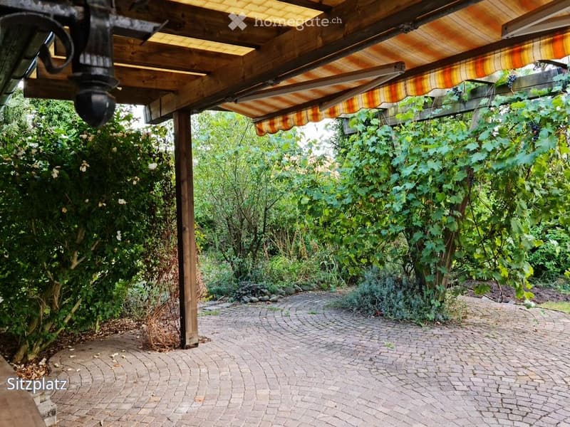 A covered outdoor area with a wooden pergola, brick pathway, lush greenery, and climbing plants.