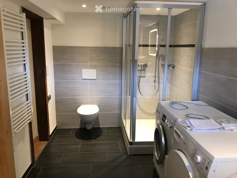 modern bathroom with shower, toilet, washing machine, radiator