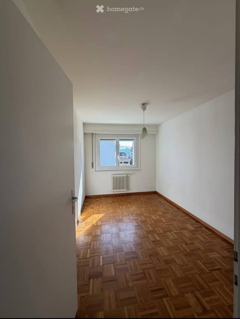 Empty room with wooden parquet flooring, white walls, a single window with a radiator below, and a ceiling light fixture.