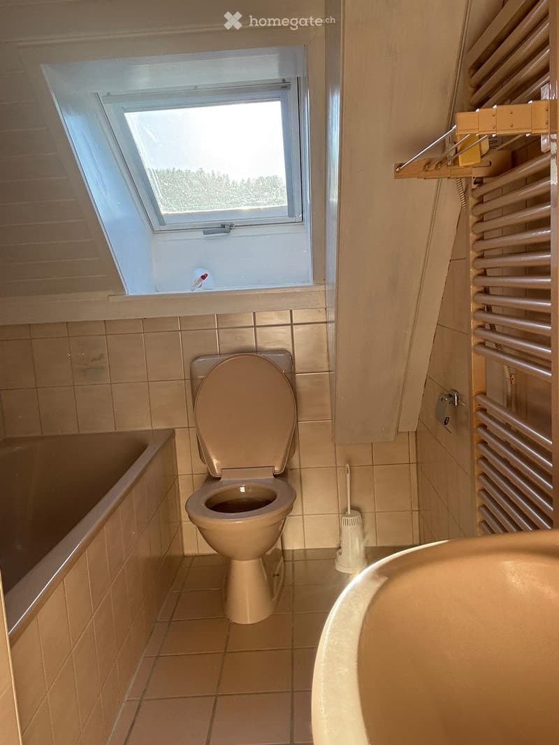 Bathroom with beige tiles, toilet, bathtub, radiator, and a toilet brush. A skylight window provides natural light.