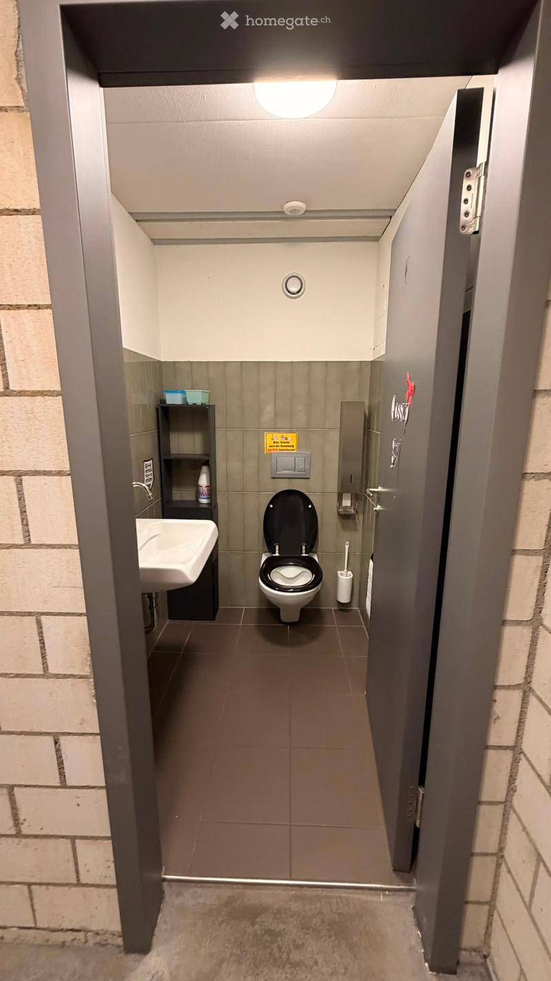 Modern bathroom with a toilet, sink, toilet paper holder, toilet brush, and a small shelf holding a bottle and a blue container.