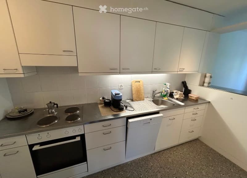 Modern kitchen with white cabinets, induction cooktop, oven, dishwasher, and various appliances on the counter.