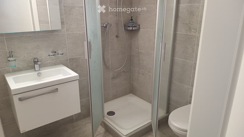 Modern bathroom with a white sink, mirror, toilet, and a glass-enclosed shower with a handheld showerhead.