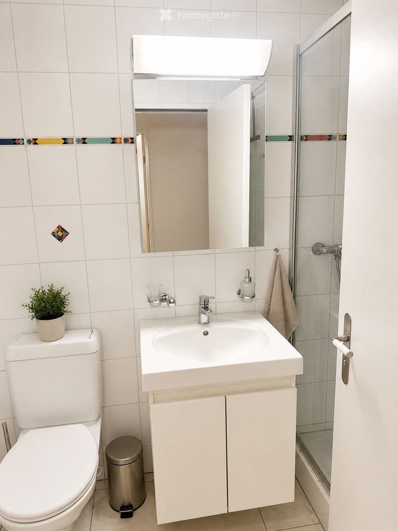 Modern bathroom with white tiles, a toilet, a sink with a mirror above it, a glass-enclosed shower, and a small plant on the toilet tank.