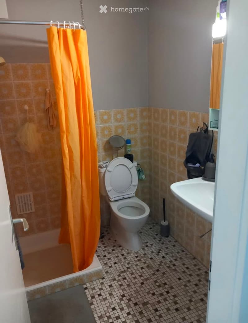 A small bathroom with a toilet, sink, and shower area. The shower has an orange curtain, and the walls are tiled in a warm, patterned design. The floor is covered with small, dark tiles.