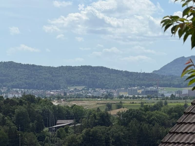 Panoramic view of a cityscape with buildings, green fields, and distant mountains under a partly cloudy sky.