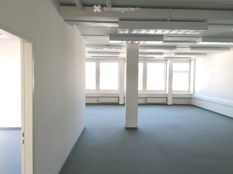 empty room, white walls, grey carpet, large windows, high ceiling with recessed lighting