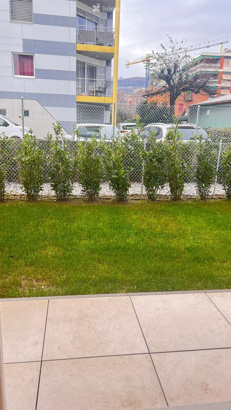 Well-maintained lawn with small shrubs and a chain-link fence, with a modern multi-story building and parked cars in the background.