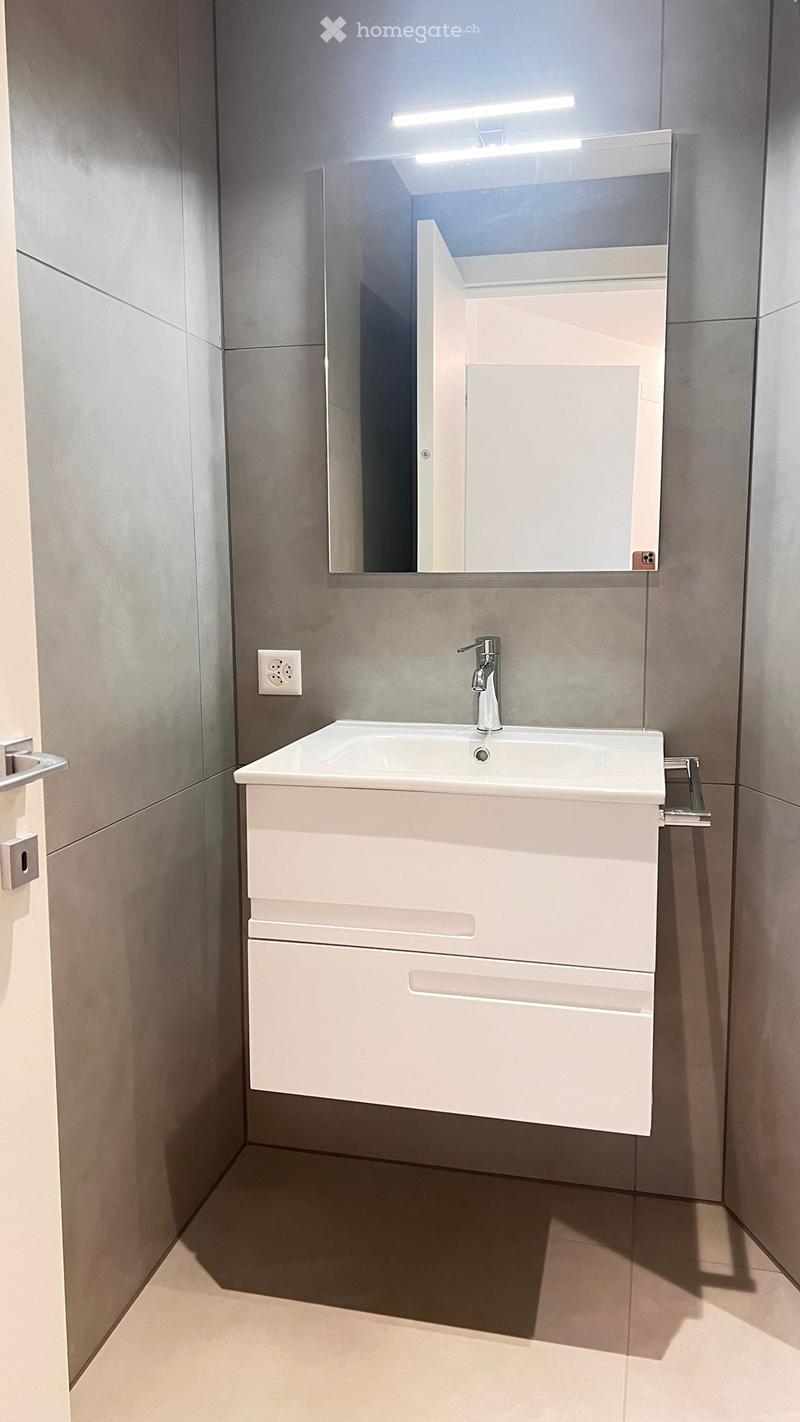 Modern bathroom with a white sink, sleek faucet, large mirror, and built-in cabinet.