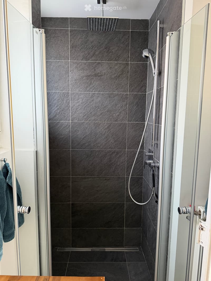 Modern shower area with dark grey tiles, a handheld showerhead, and a towel hanging on the door.