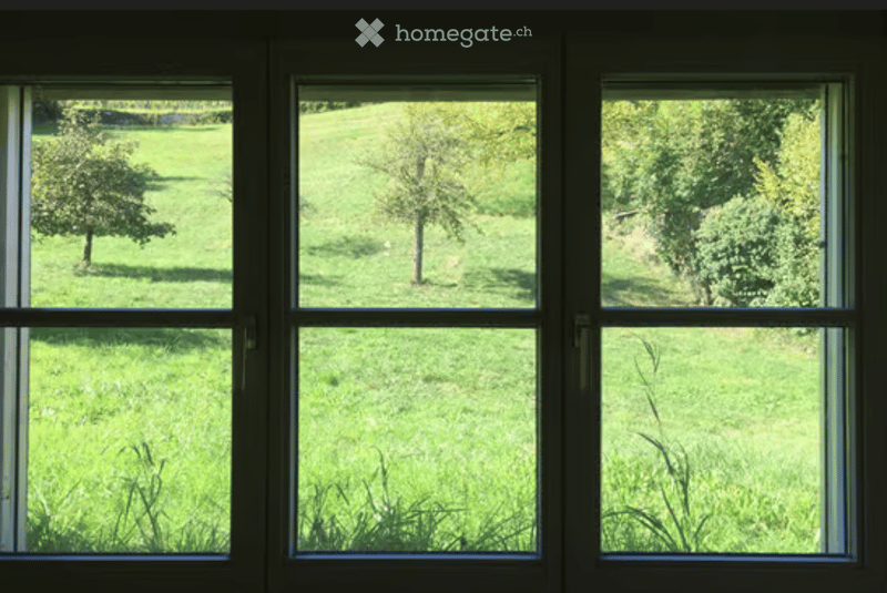 View through large windows of a green, grassy field with trees.