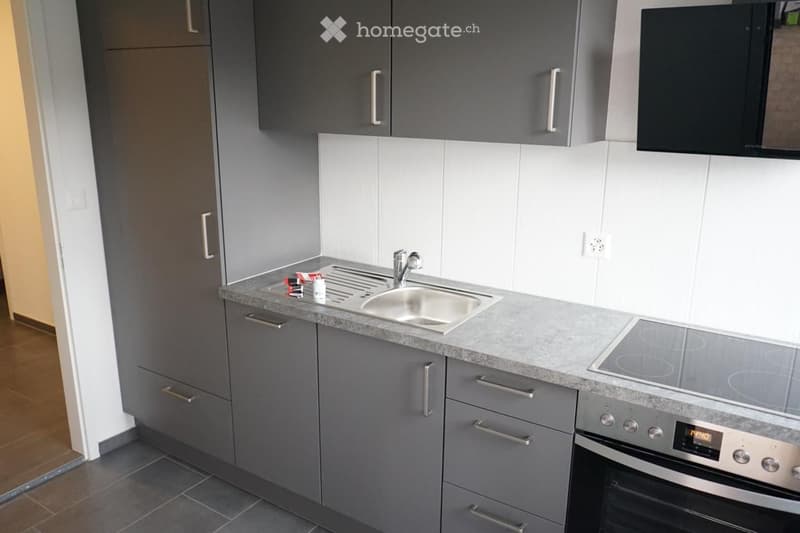 Modern kitchen with grey cabinets, granite countertop, stainless steel sink, induction cooktop, and built-in oven. The space features a sleek, contemporary design with a clean, minimalist aesthetic.