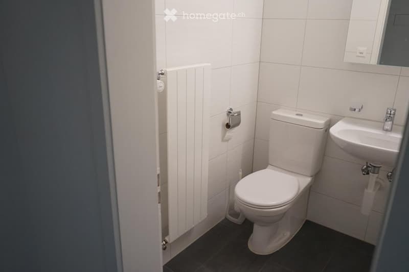 Modern bathroom with white tiles, a toilet, a sink, a radiator, and a mirror above the sink.