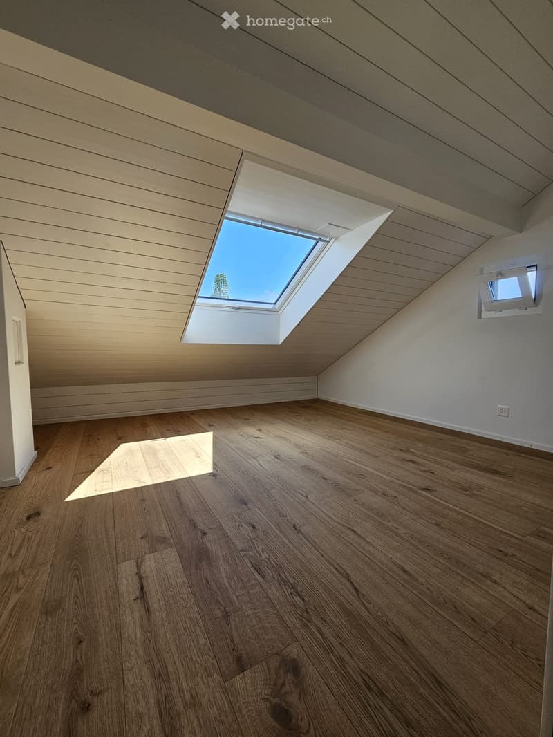 Empty attic space with wooden flooring, white walls, and a skylight window letting in natural light.