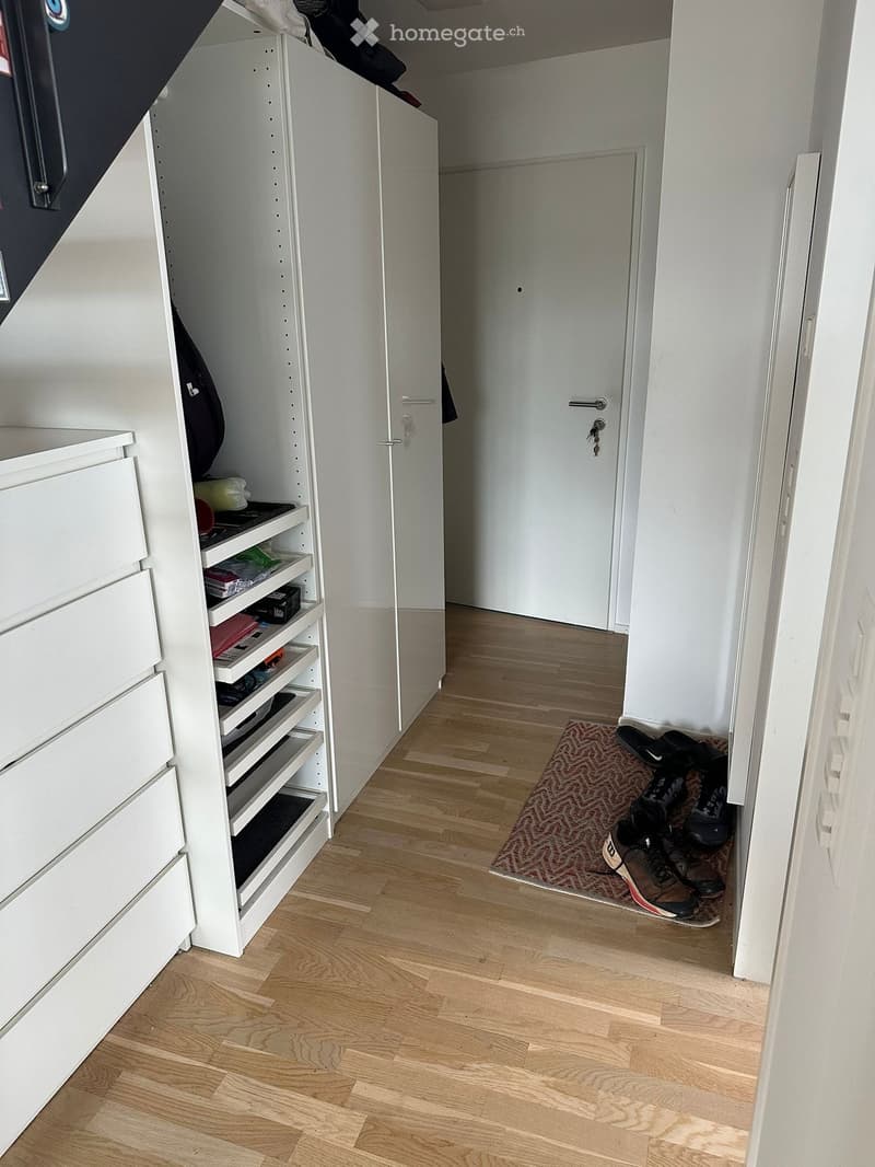 A narrow hallway with wooden flooring, white walls, and a built-in white storage unit on the left side. A small rug is placed near the door, and several pairs of shoes are positioned on the rug.