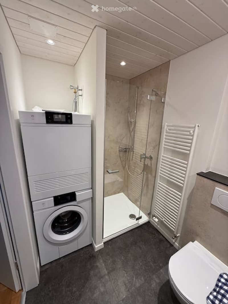 Modern bathroom with a glass-enclosed shower, toilet, washing machine, and a white radiator. The floor is dark grey tiles, and the walls are white.