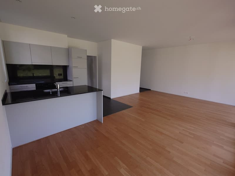 Empty room with light wooden flooring, white walls, and a modern kitchen area featuring grey cabinets, a black countertop, and built-in appliances.