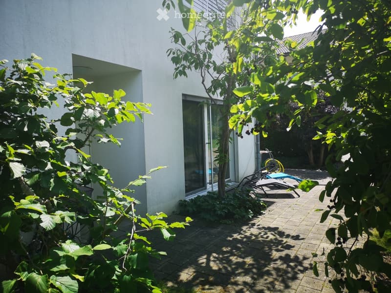 A serene garden area adjacent to a modern white building, featuring a paved patio, lounge chairs, and lush greenery including trees and shrubs.