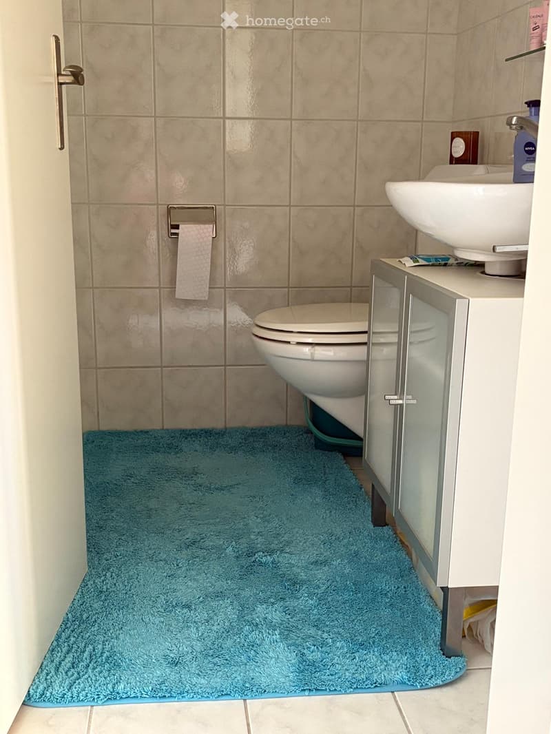 A small bathroom with beige tiled walls, a toilet, a sink with a cabinet, a toilet paper holder, and a blue bathroom rug.
