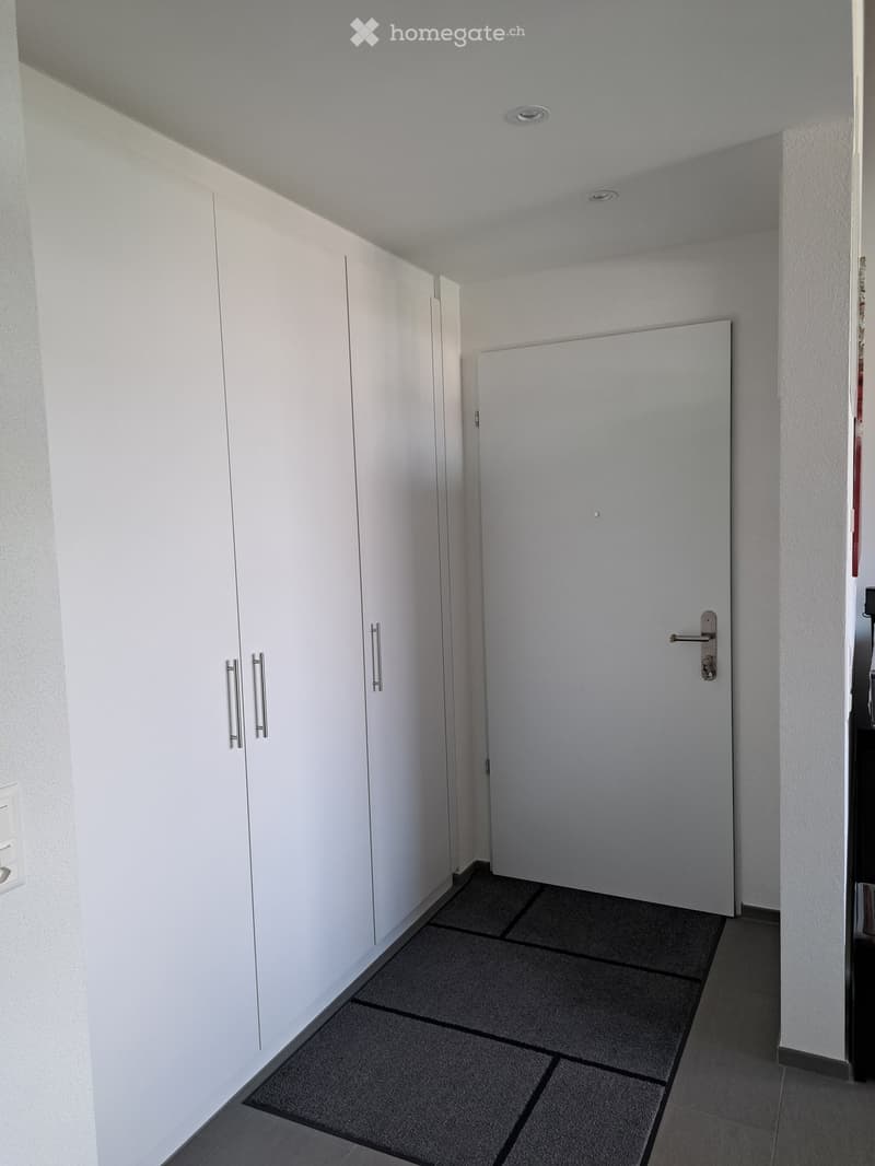 A clean, modern hallway with white walls, grey tiled flooring, built-in white storage units with silver handles, and a closed door at the end.
