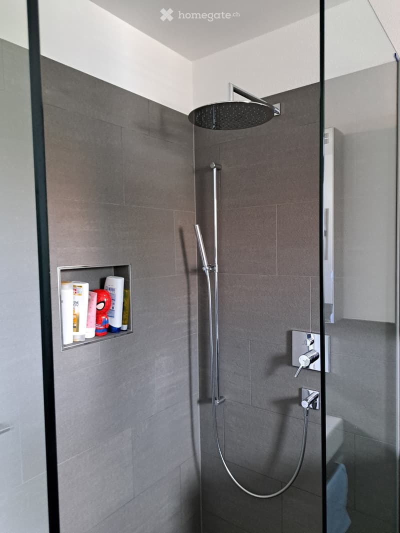 Modern shower area with grey tiles, a large shower head, a handheld shower hose, a shelf with toiletries, and a toilet visible behind the glass door.