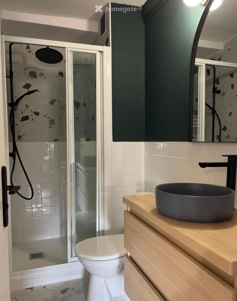 Modern bathroom with a white toilet, dark grey sink, wooden vanity, large mirror, and a glass-enclosed shower with a modern showerhead.