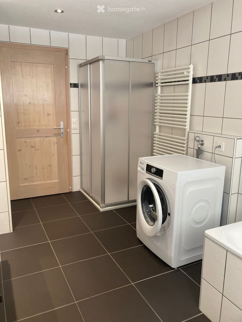 Modern bathroom with dark brown tiled floor, white washing machine, radiator, and wooden door.