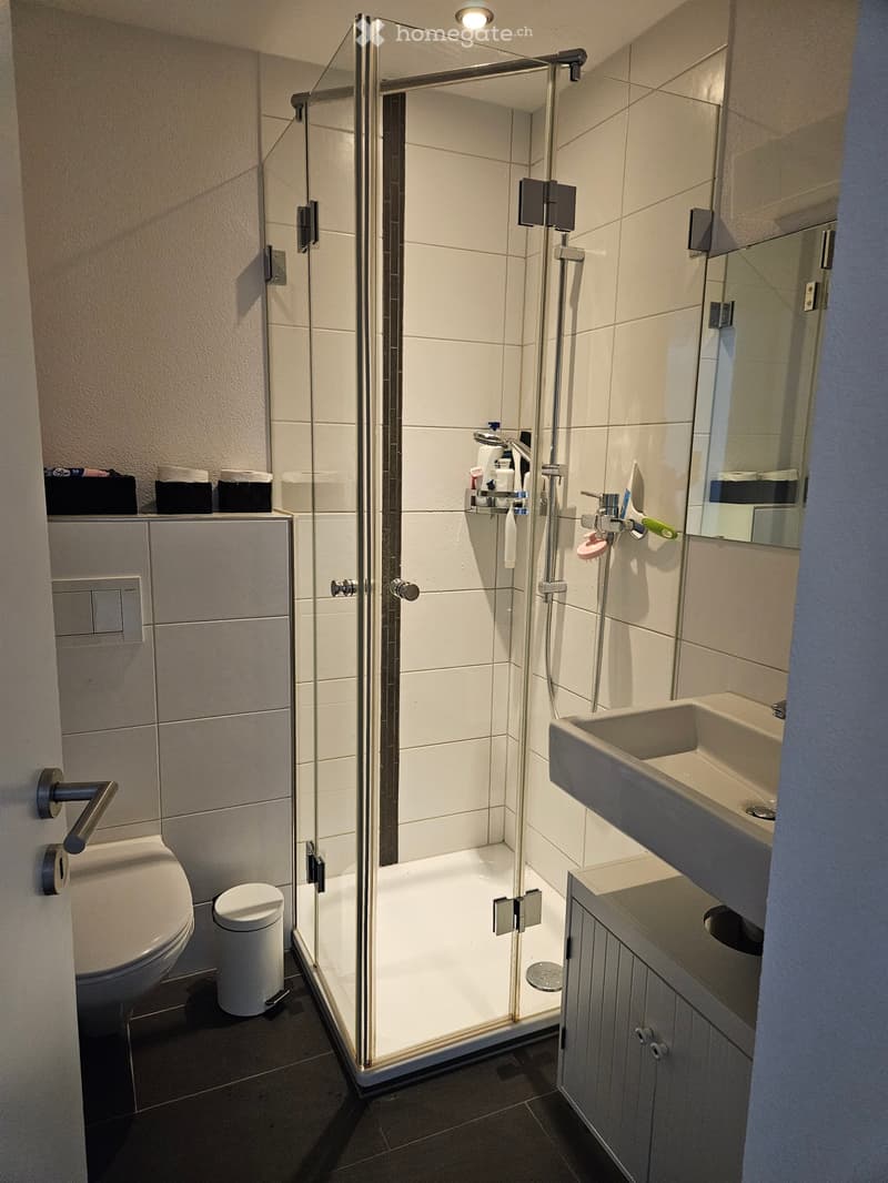 Modern bathroom with a glass-enclosed shower, toilet, sink, and mirrored cabinet. Features a sleek design with white tiles and dark flooring.